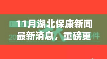 湖北保康新闻热点，最新消息一网打尽，十一月重磅更新！