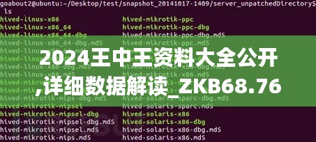 2024王中王资料大全公开,详细数据解读_ZKB68.764随机版