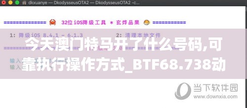 今天澳门特马开了什么号码,可靠执行操作方式_BTF68.738动态版