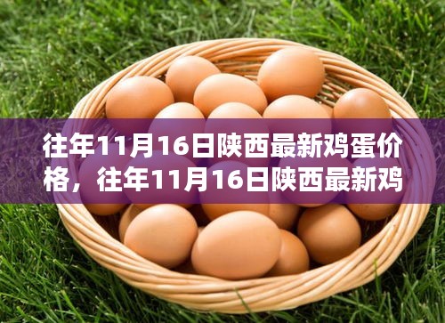 陕西历年11月16日鸡蛋价格解析与查询指南，初学者到进阶用户的必备参考