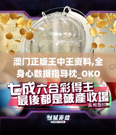 澳门正版王中王资料,全身心数据指导枕_OKO68.793专用版