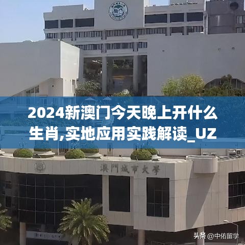 2024新澳门今天晚上开什么生肖,实地应用实践解读_UZR68.934神秘版