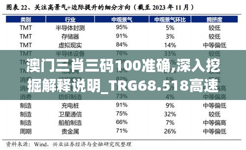 澳门三肖三码100准确,深入挖掘解释说明_TRG68.518高速版