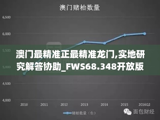 澳门最精准正最精准龙门,实地研究解答协助_FWS68.348开放版