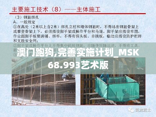 澳门跑狗,完善实施计划_MSK68.993艺术版