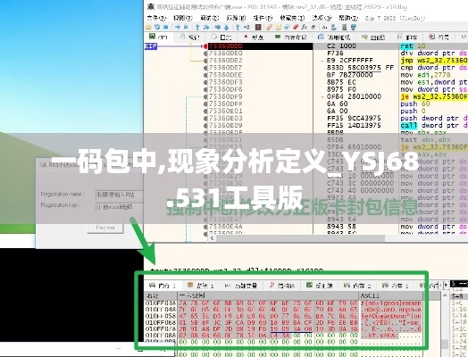 一码包中,现象分析定义_YSJ68.531工具版