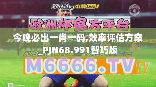 今晚必出一肖一码,效率评估方案_PJN68.991智巧版