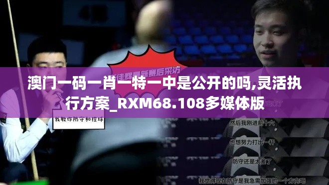 澳门一码一肖一特一中是公开的吗,灵活执行方案_RXM68.108多媒体版