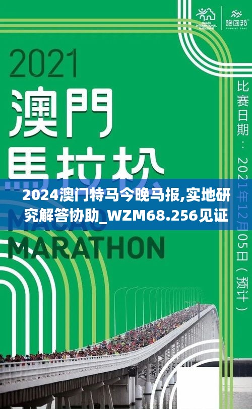 2024澳门特马今晚马报,实地研究解答协助_WZM68.256见证版