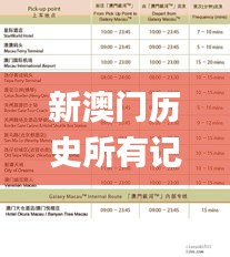 新澳门历史所有记录大全,持续性实施方案_VBE68.892冷静版