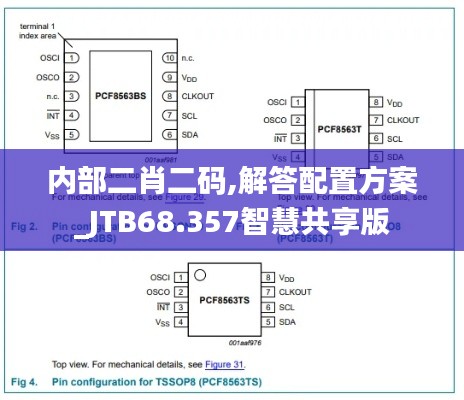 内部二肖二码,解答配置方案_JTB68.357智慧共享版