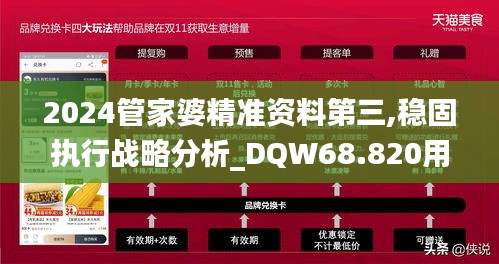 2024管家婆精准资料第三,稳固执行战略分析_DQW68.820用心版