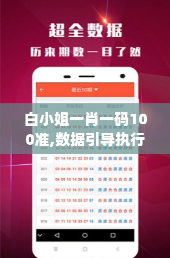 白小姐一肖一码100准,数据引导执行策略_SJD68.101月光版