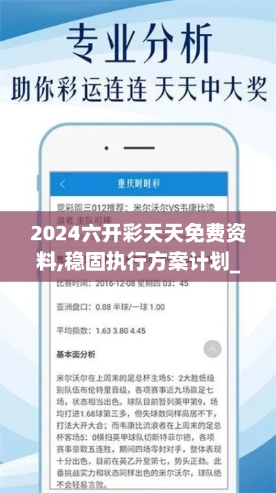 2024六开彩天天免费资料,稳固执行方案计划_VHG68.988触感版