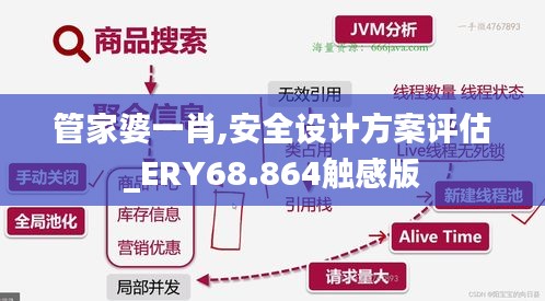 管家婆一肖,安全设计方案评估_ERY68.864触感版