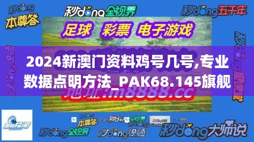 2024新澳门资料鸡号几号,专业数据点明方法_PAK68.145旗舰设备版