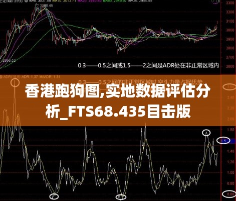 香港跑狗图,实地数据评估分析_FTS68.435目击版