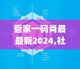 管家一码肖最最新2024,社会承担实践战略_ECR68.446开放版