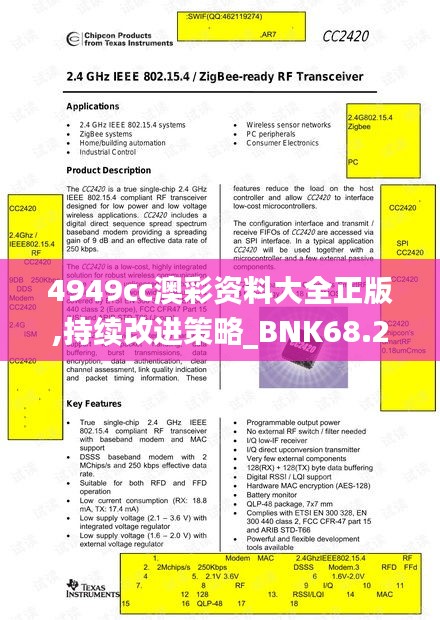 4949cc澳彩资料大全正版,持续改进策略_BNK68.246共鸣版