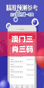 澳门三肖三码三期必出特,信息明晰解析导向_GFQ68.317限量版