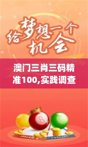 澳门三肖三码精准100,实践调查说明_RJE68.262收藏版