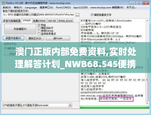 澳门正版内部免费资料,实时处理解答计划_NWB68.545便携版