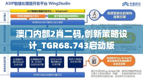 澳门内部2肖二码,创新策略设计_TGR68.743启动版