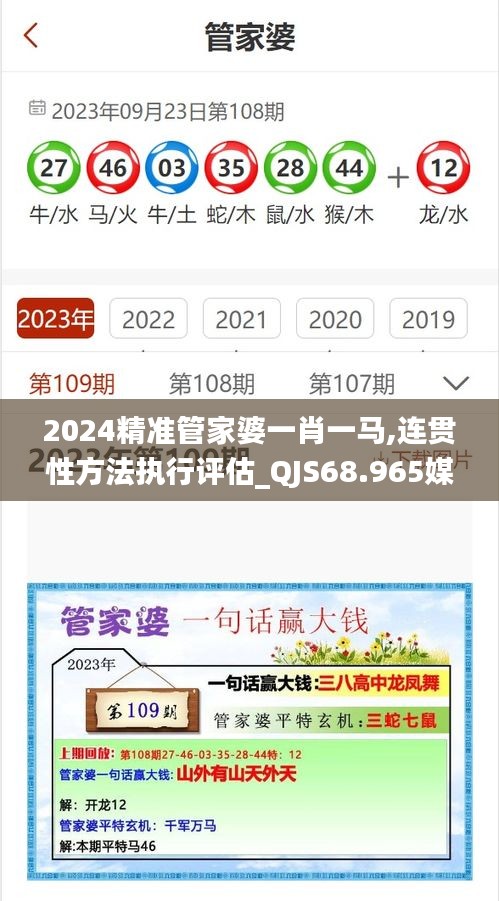 2024精准管家婆一肖一马,连贯性方法执行评估_QJS68.965媒体宣传版