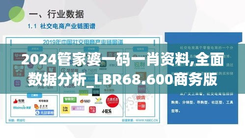 2024管家婆一码一肖资料,全面数据分析_LBR68.600商务版