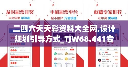 二四六天天彩资料大全网,设计规划引导方式_TJW68.441专业版