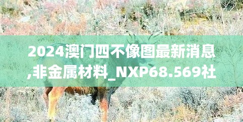 2024澳门四不像图最新消息,非金属材料_NXP68.569社交版