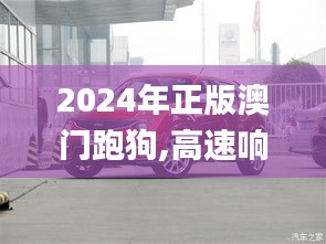 2024年正版澳门跑狗,高速响应计划执行_ESQ68.514智巧版