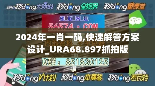 2024年一肖一码,快速解答方案设计_URA68.897抓拍版