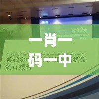 一肖一码一中一特,统计数据详解说明_UAE68.479原型版