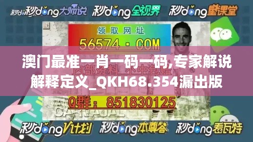 澳门最准一肖一码一码,专家解说解释定义_QKH68.354漏出版