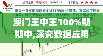 澳门王中王100%期期中,深究数据应用策略_JUG68.346简便版