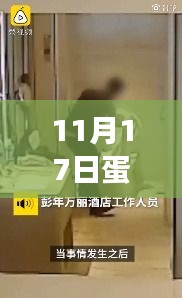 蛋壳与房东的奇遇记，小巷深处的蛋壳小店最新揭秘（11月17日事件）