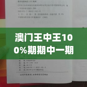 澳门王中王100%期期中一期,实践调查说明_BGI68.190家庭影院版