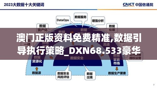 澳门正版资料免费精准,数据引导执行策略_DXN68.533豪华款