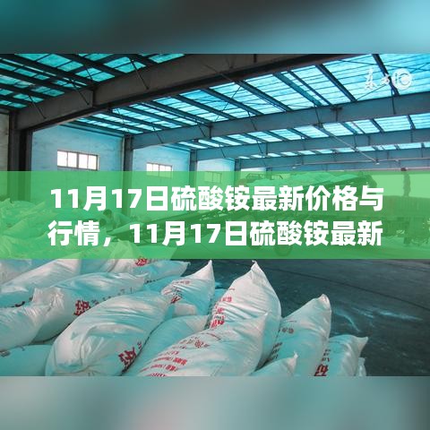 11月17日硫酸铵最新价格与行情深度解析，洞悉市场动态