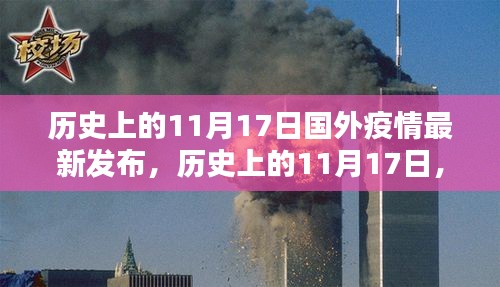 历史上的11月17日国外疫情深度测评与介绍，最新发布概览