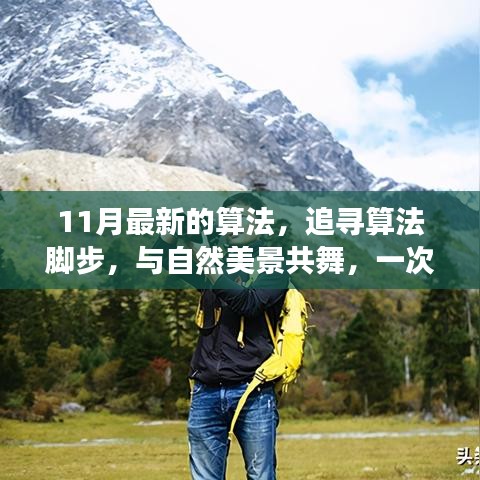 最新算法之旅，与自然美景共舞的心灵之旅