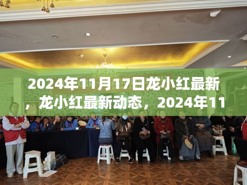 龙小红2024年11月17日独特风采闪耀小红书，最新动态一览