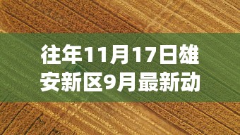 2024年11月17日 第6页