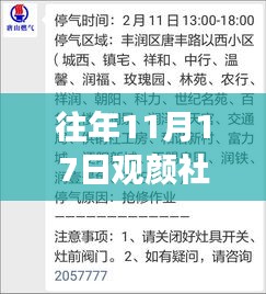 观颜社温暖日常与趣事回顾，11月17日的友情与欢乐时刻