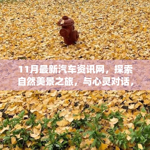 11月最新汽车资讯网，启程探索自然美景，与心灵对话之旅