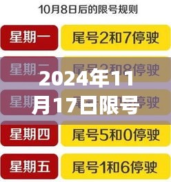 保定最新限号政策解读及应对步骤指南（2024年最新版）