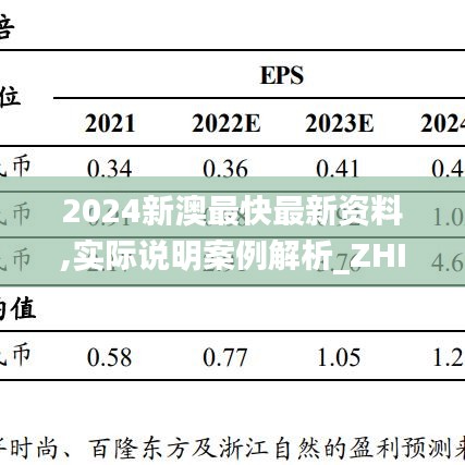 2024新澳最快最新资料,实际说明案例解析_ZHI3.36.38闪电版