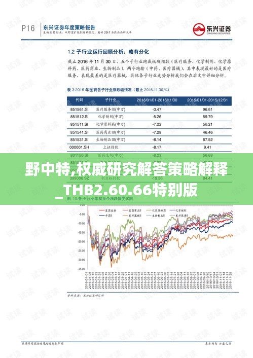 野中特,权威研究解答策略解释_THB2.60.66特别版