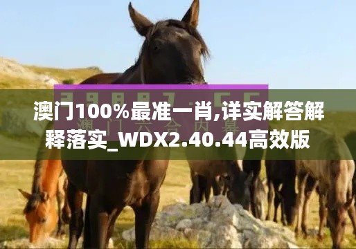 澳门100%最准一肖,详实解答解释落实_WDX2.40.44高效版